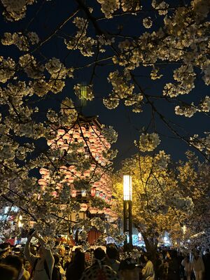 宿泊・ご旅行コース（１泊２日以上）